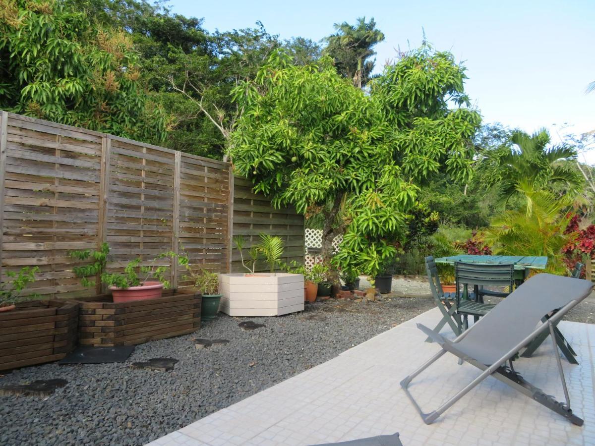Bungalow Des Paletuviers Morne-a-l'Eau Kültér fotó