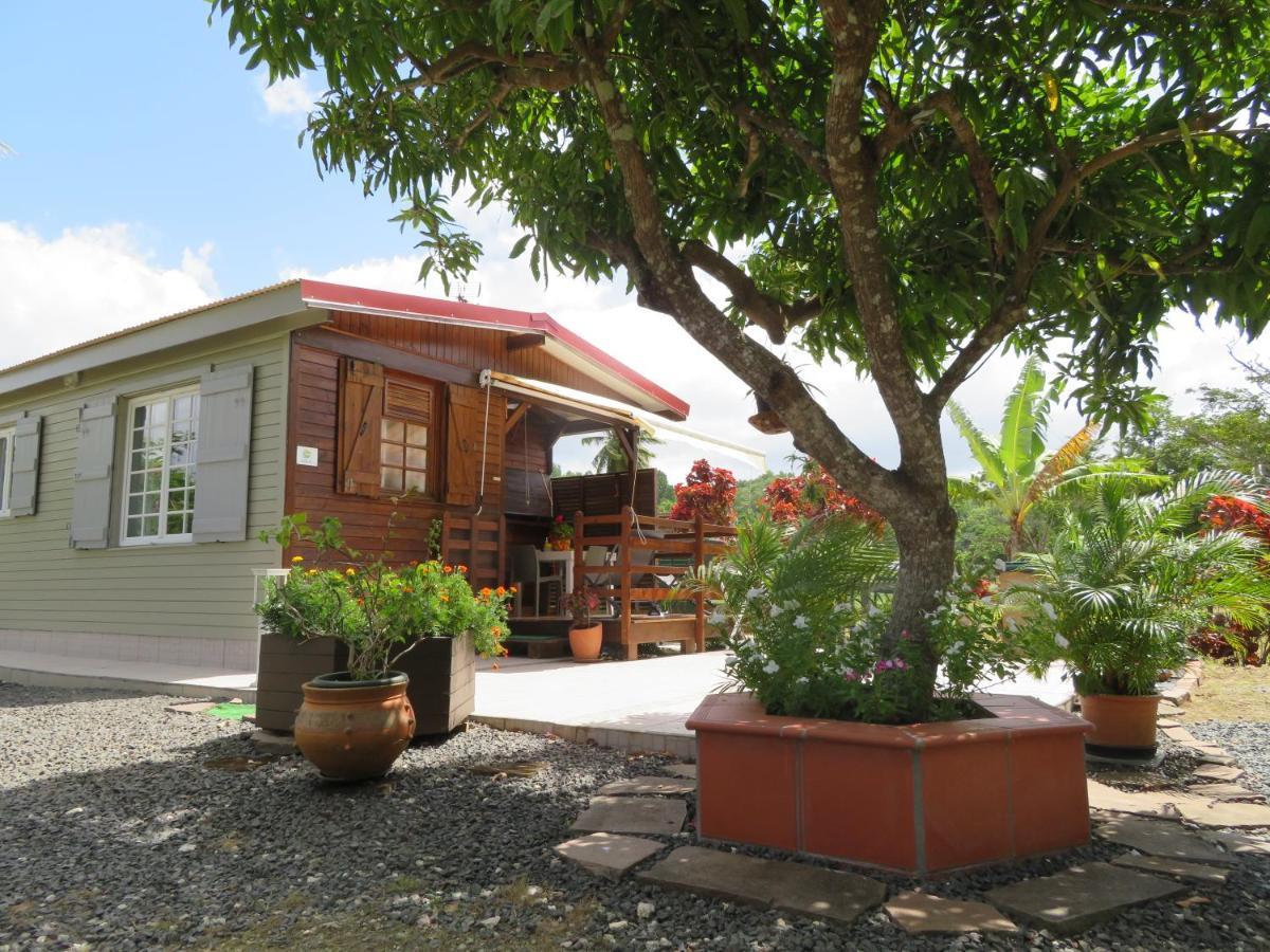 Bungalow Des Paletuviers Morne-a-l'Eau Kültér fotó